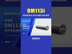 DM113 Olie-onderdompelde trommelmotor voor de voedingsmiddelenindustrie